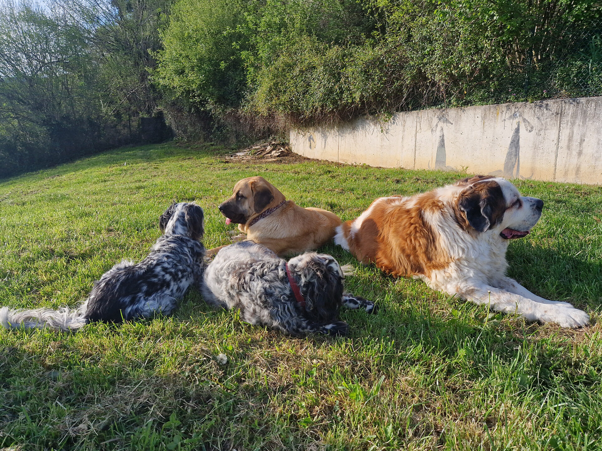 Copia-de-20250414_191733