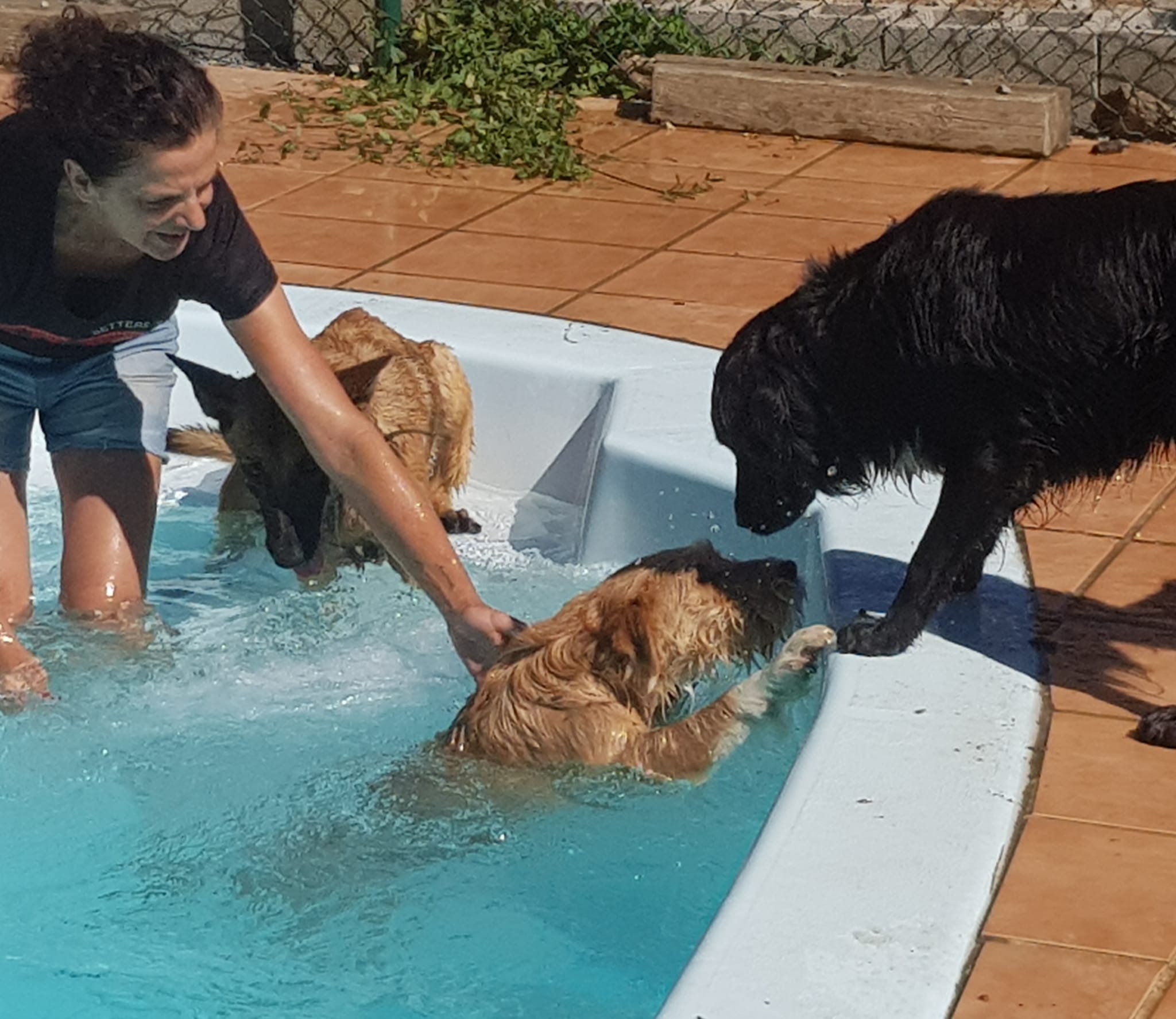 Copia de IMG-20220709-WA0025