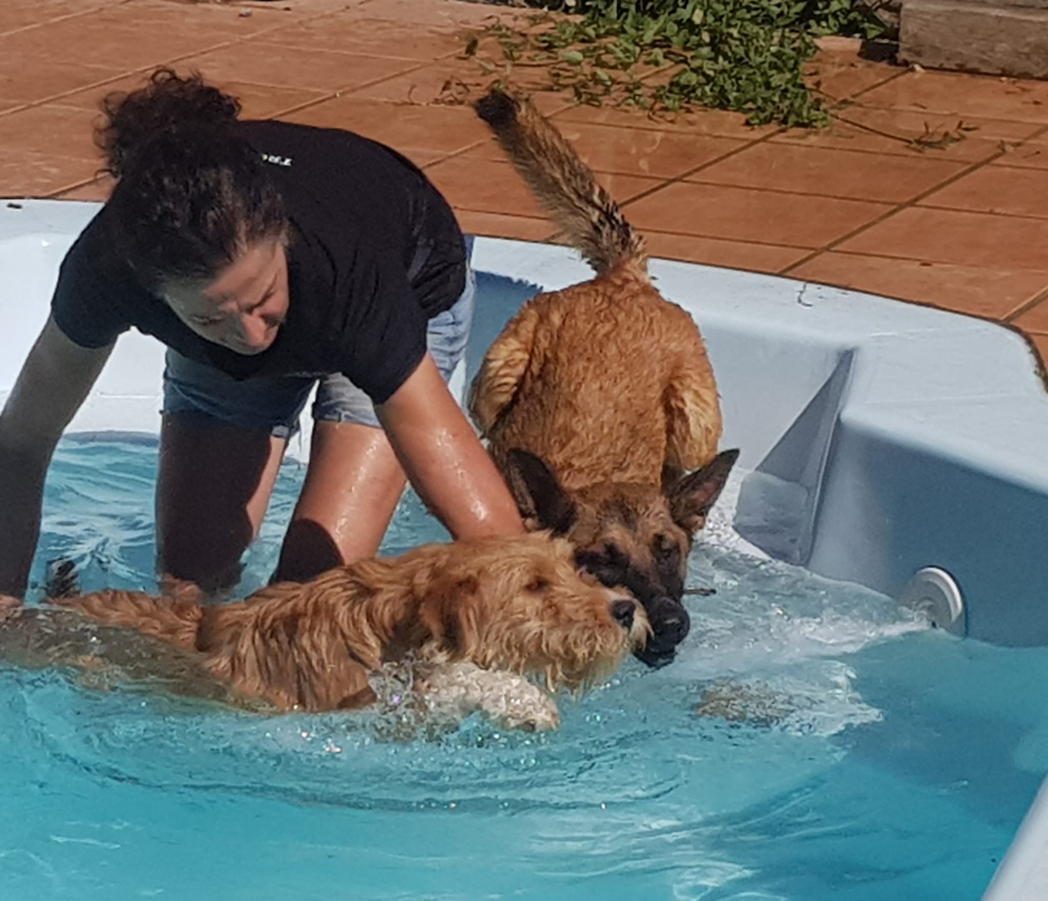 Copia de IMG-20220709-WA0027