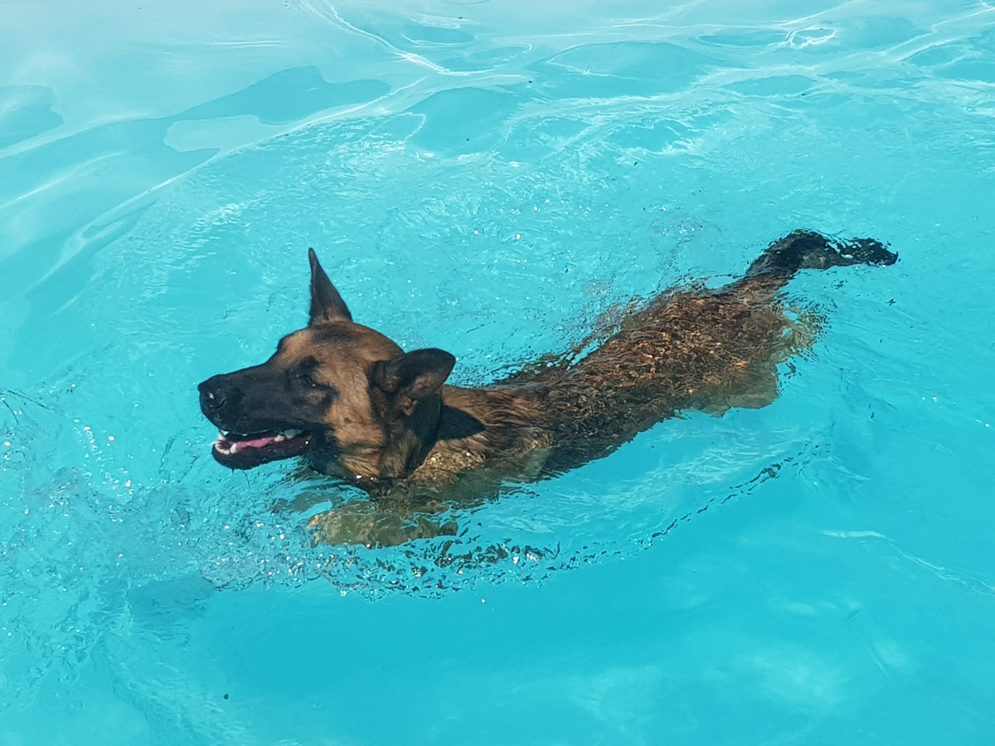 Copia de IMG-20220709-WA0032