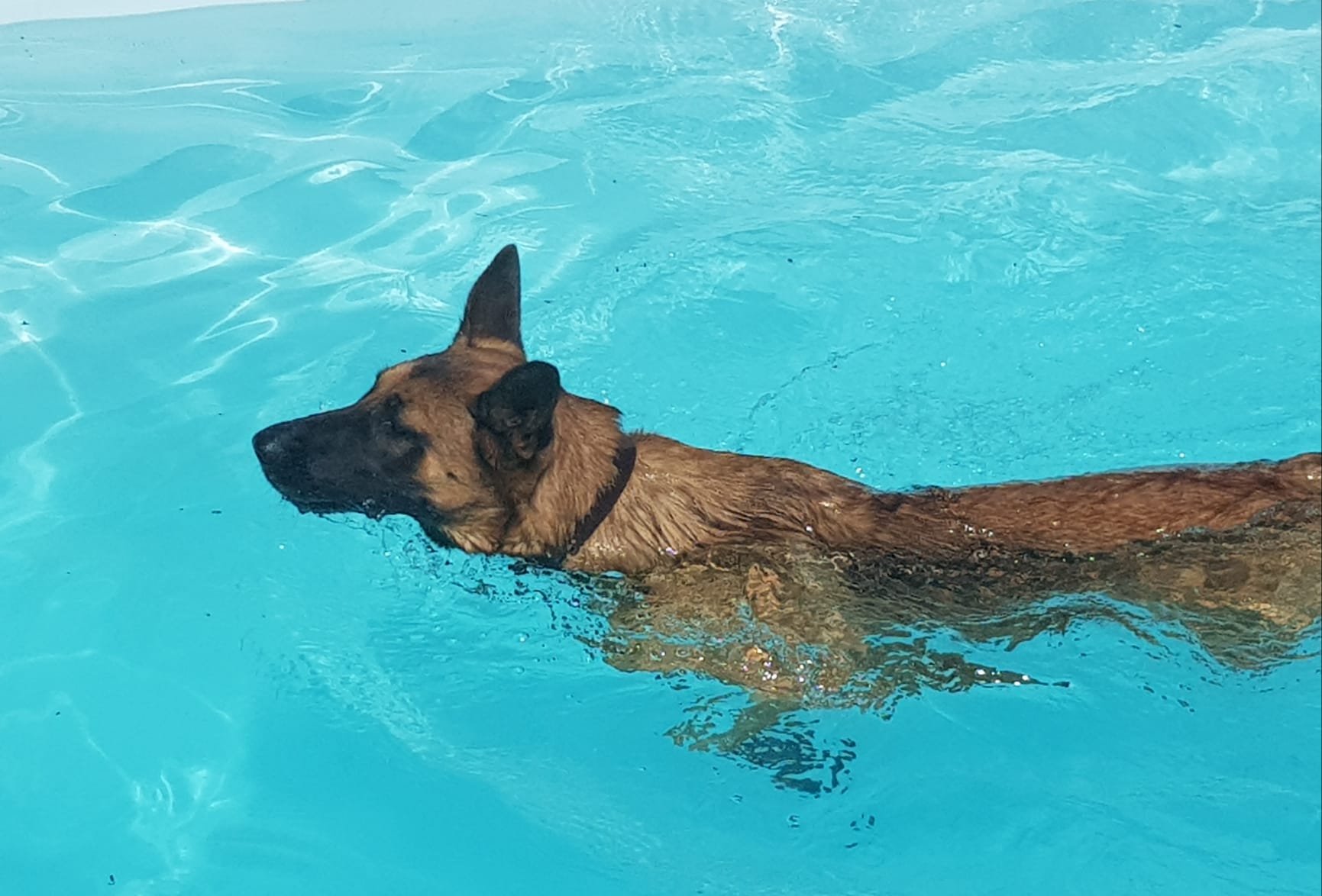 Copia de IMG-20220709-WA0033