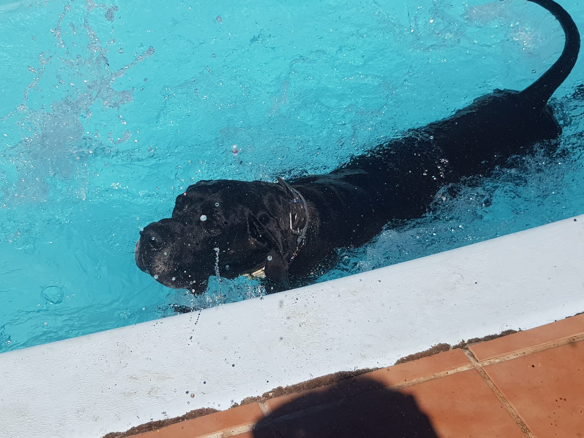 Copia de IMG-20220709-WA0038