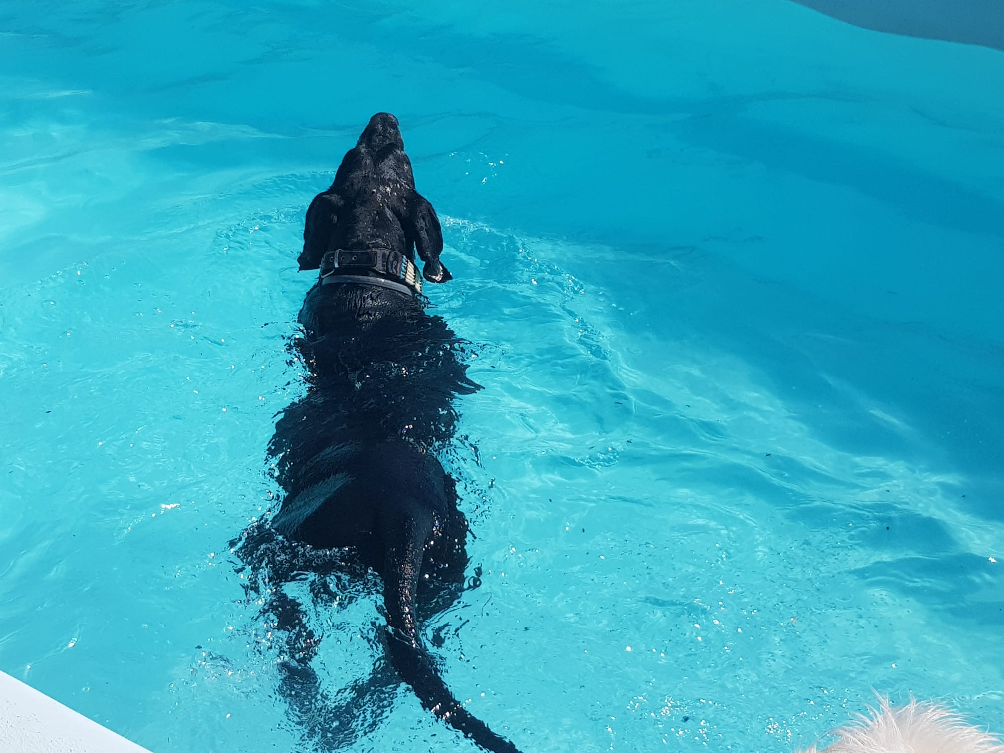 Copia de IMG-20220709-WA0039