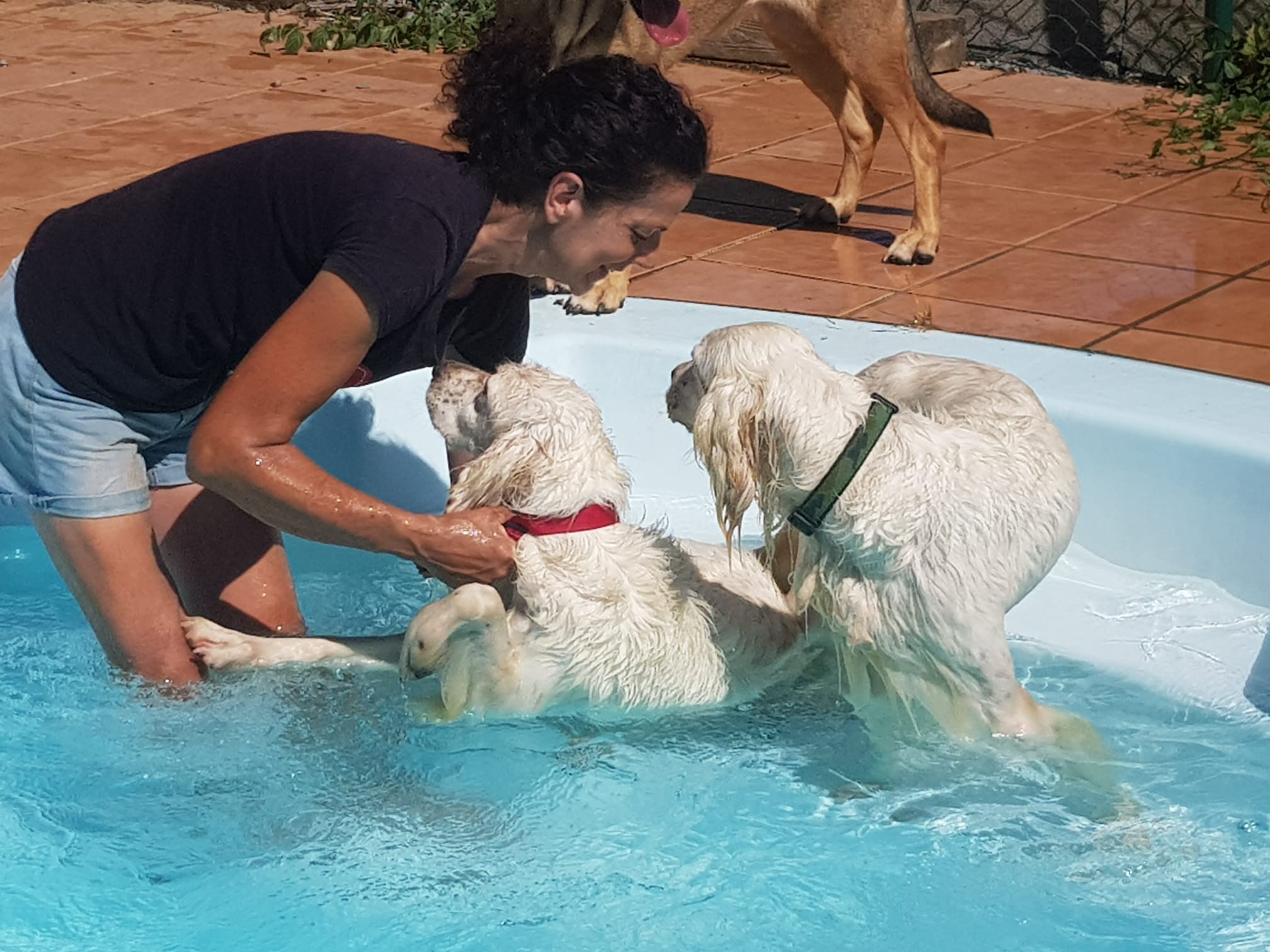 Copia de IMG-20220709-WA0044