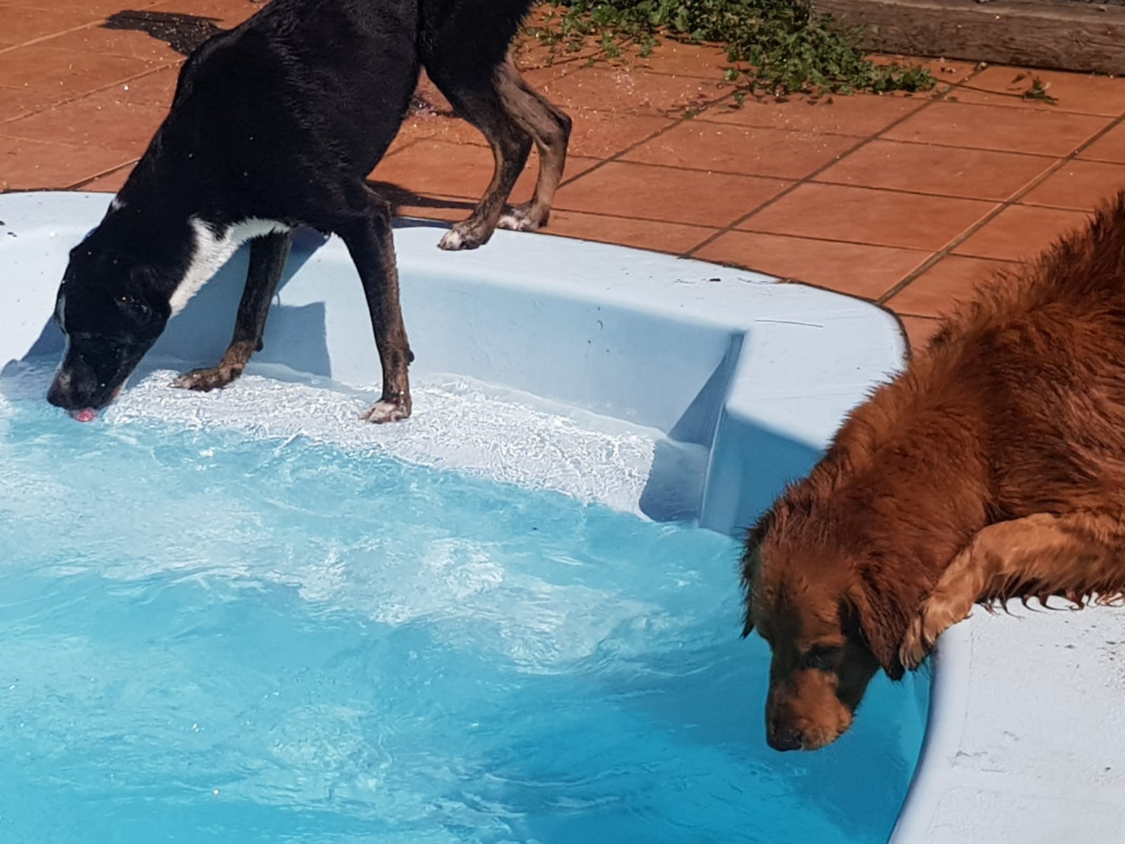 Copia de IMG-20220709-WA0053