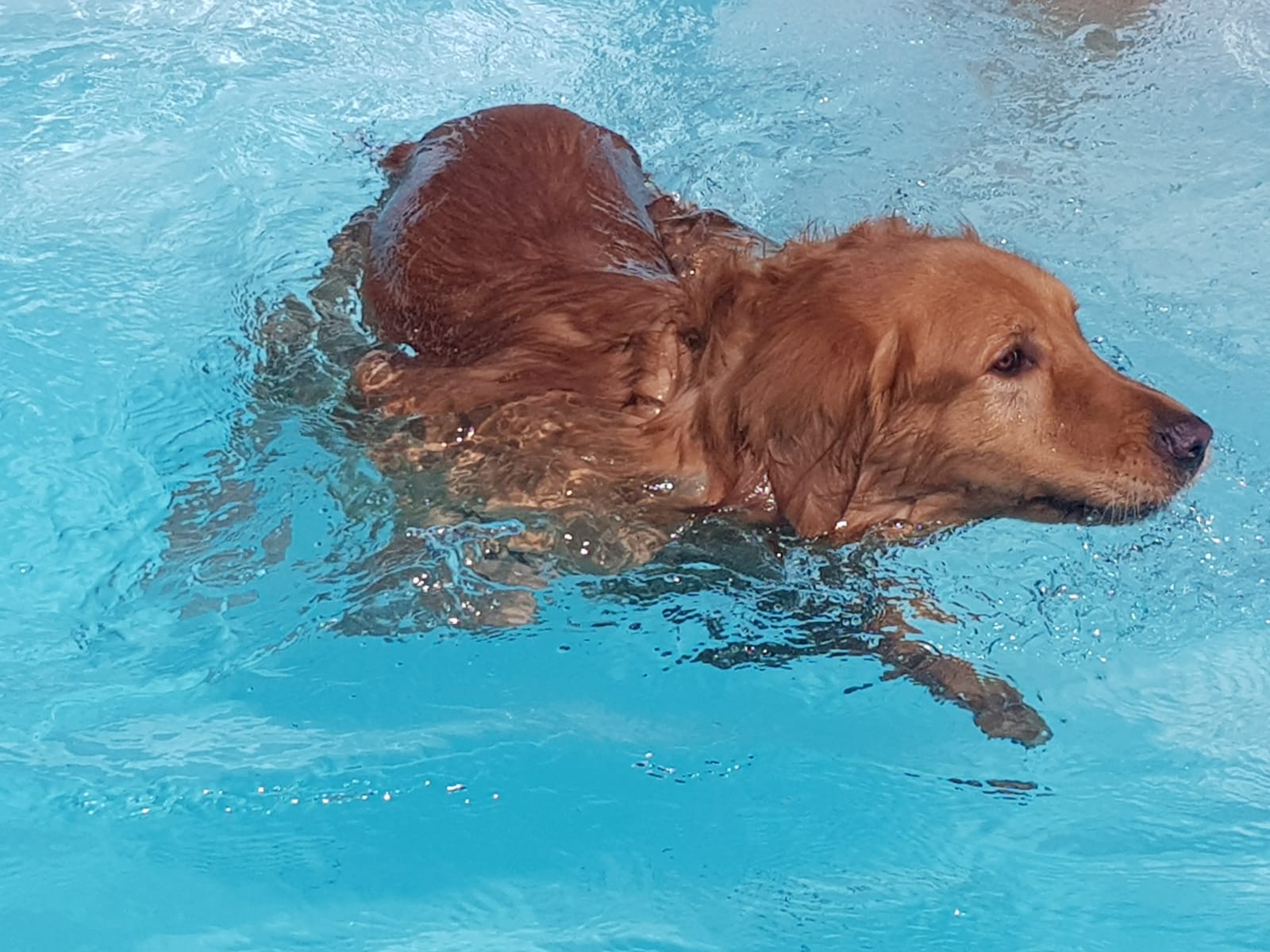 Copia de IMG-20220709-WA0059