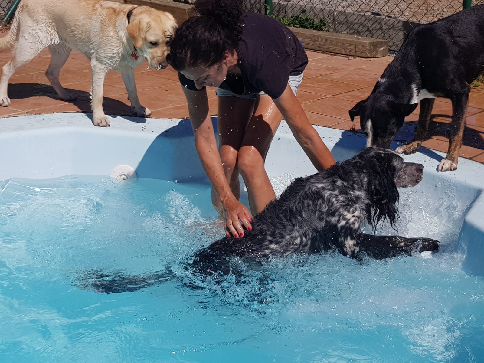 Copia de IMG-20220709-WA0060