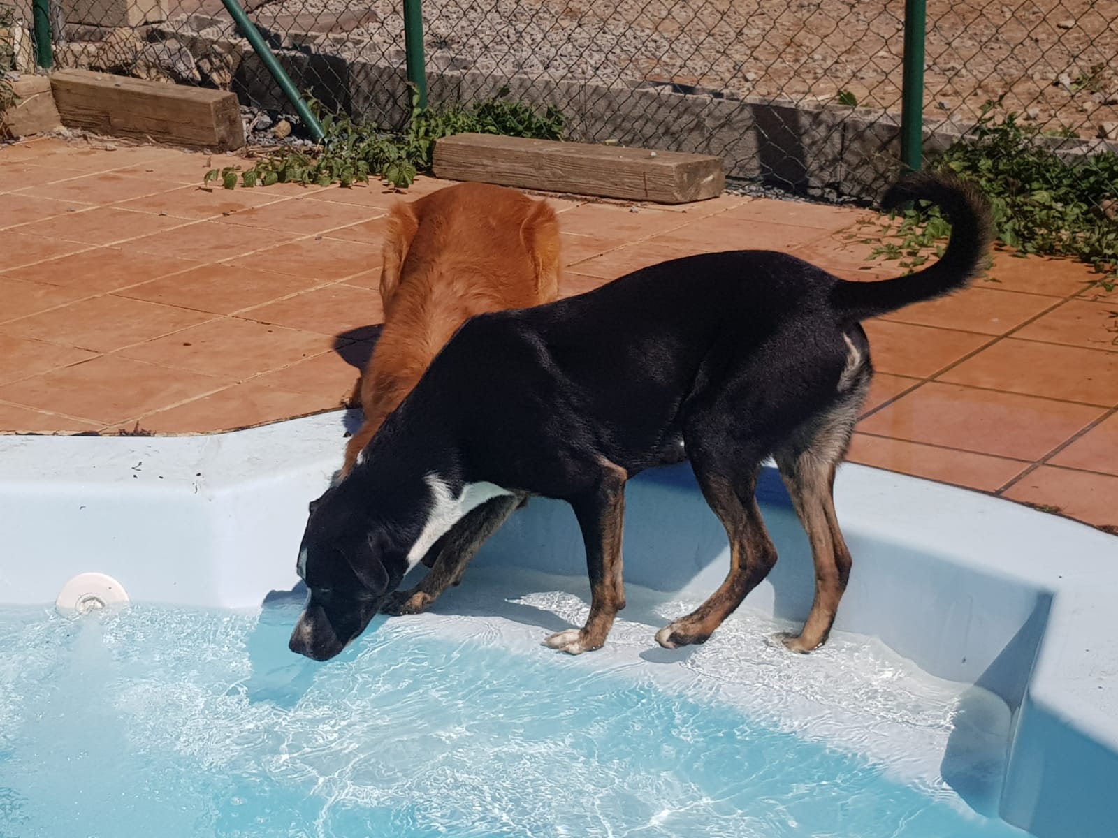 Copia de IMG-20220709-WA0061