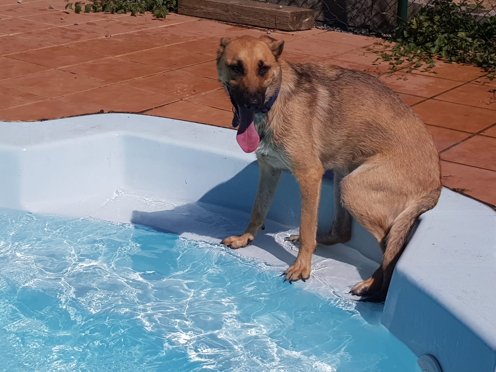 Copia de IMG-20220709-WA0064