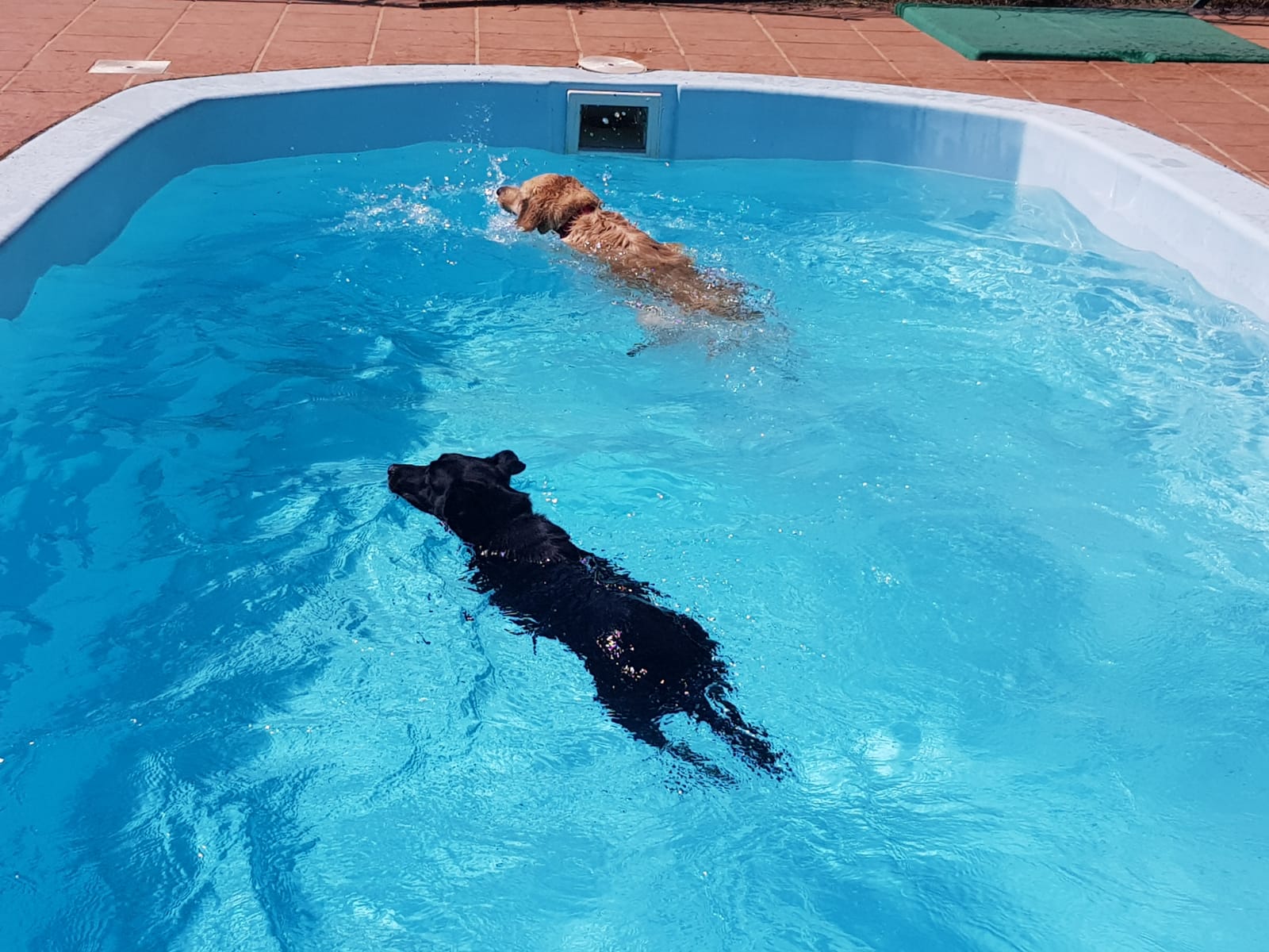 Copia de IMG-20220709-WA0067