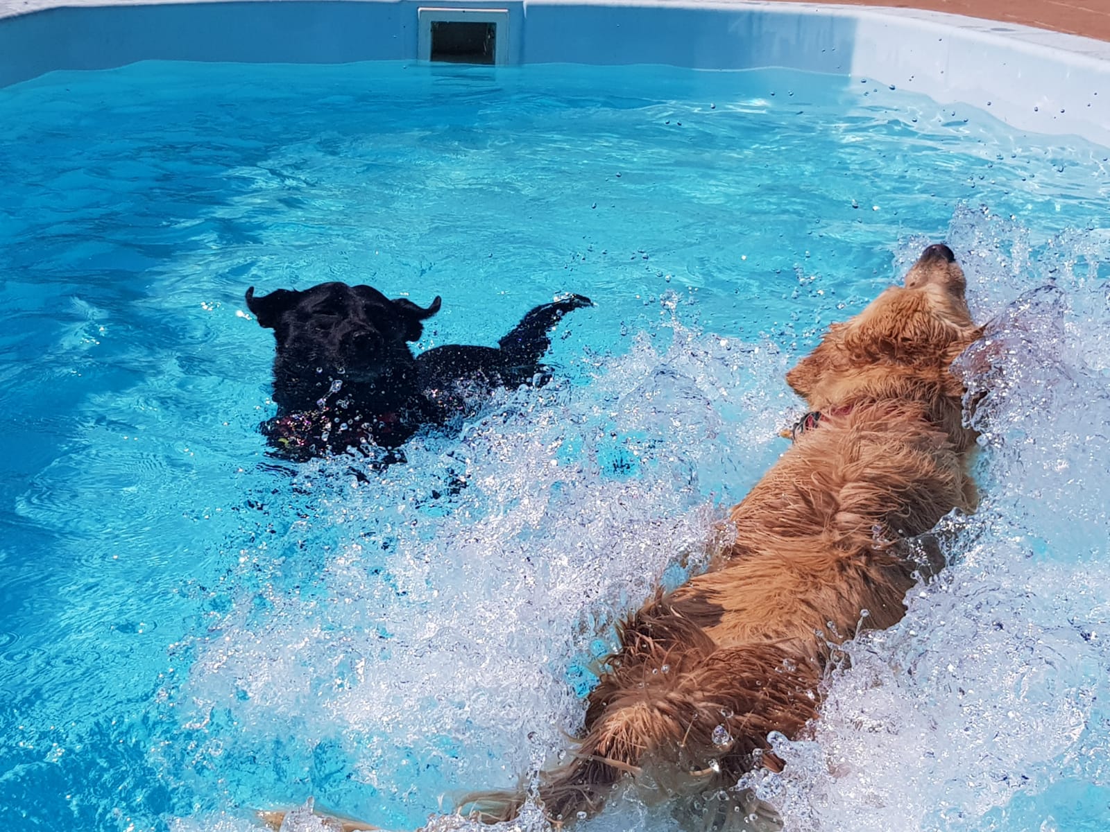 Copia de IMG-20220709-WA0068