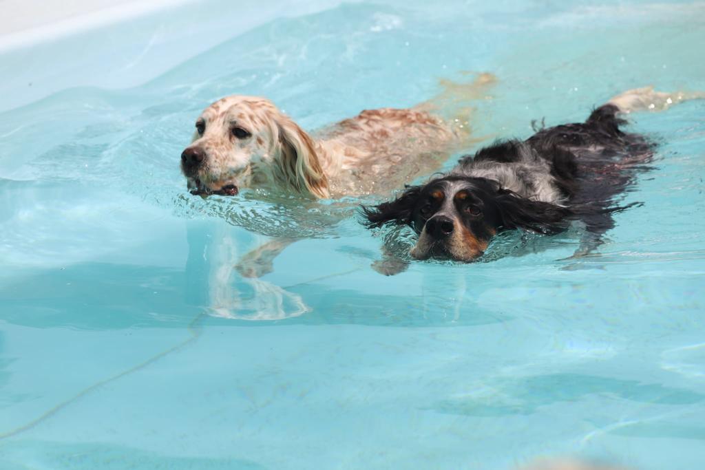 Copia de IMG-20221128-WA0003