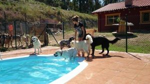 Copia de IMG-20230712-WA0012