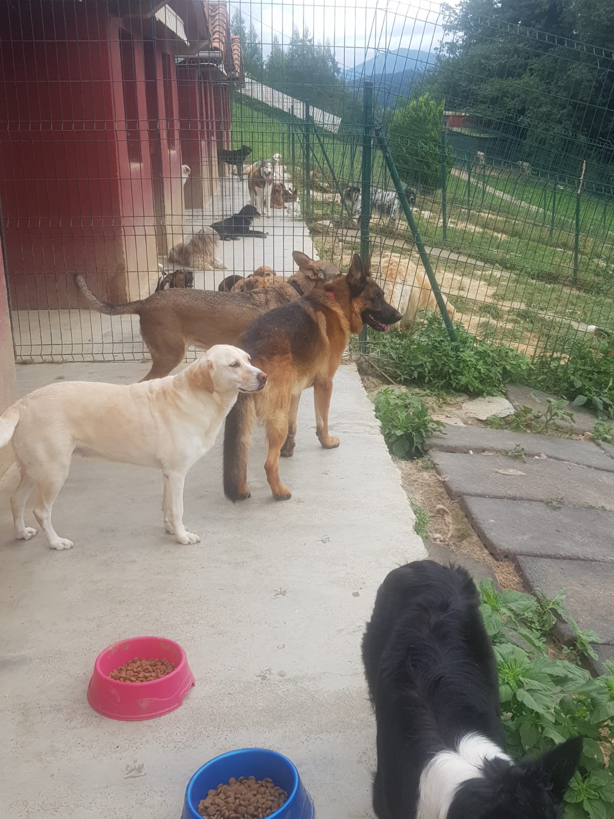 Copia de IMG-20230729-WA0033