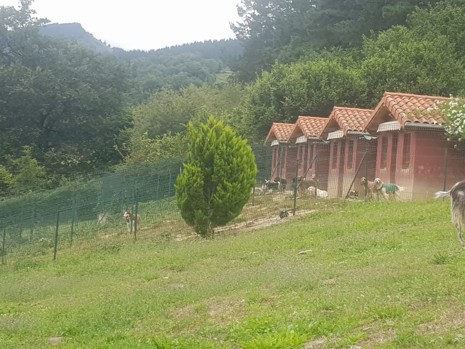 Copia de IMG-20230729-WA0035