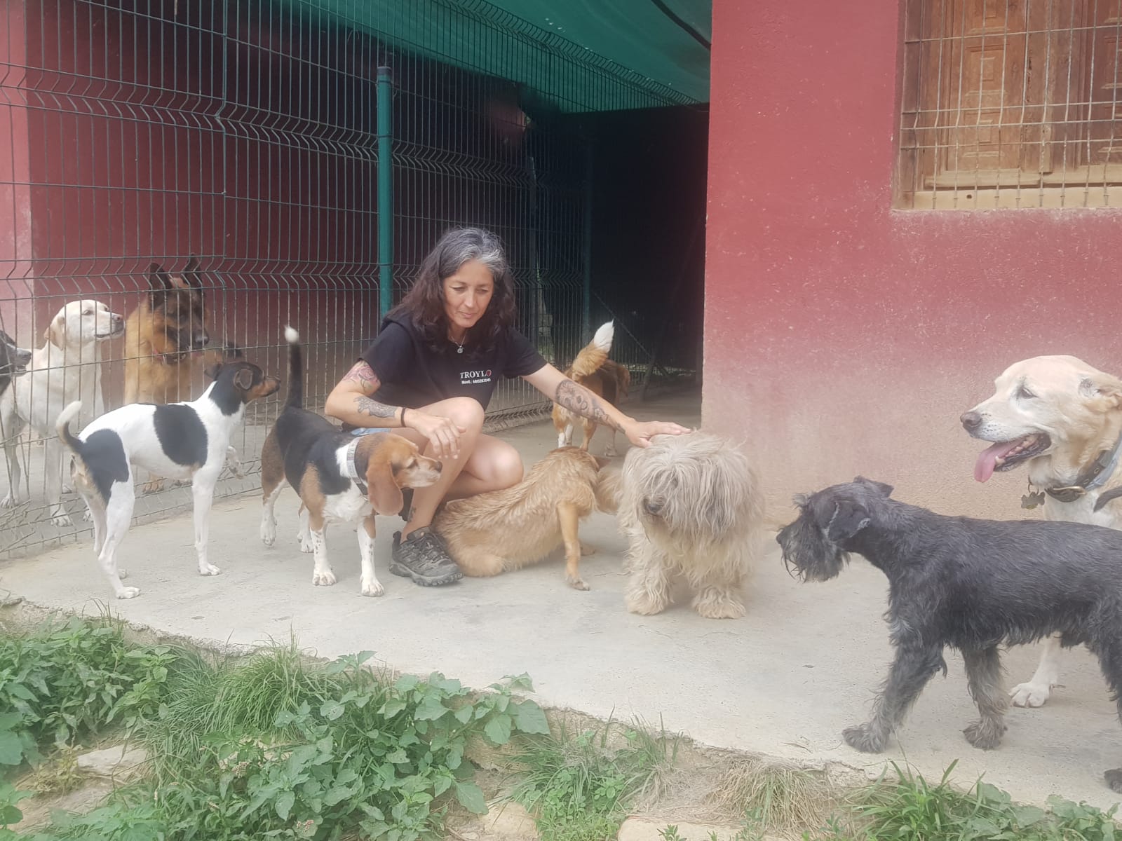 Copia de IMG-20230729-WA0038