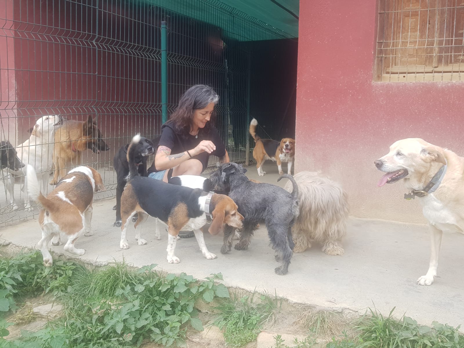 Copia de IMG-20230729-WA0039