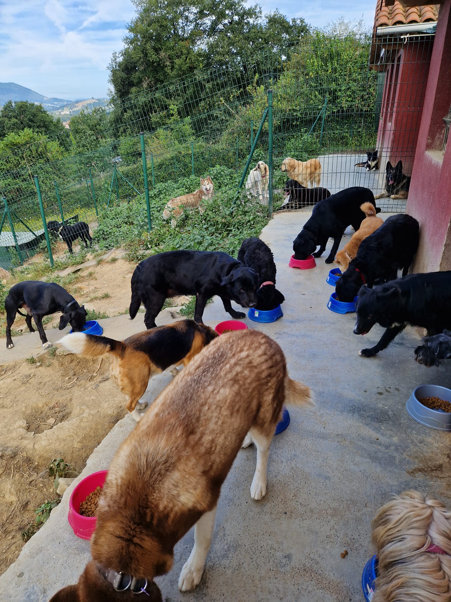 Copia de IMG-20230812-WA0021