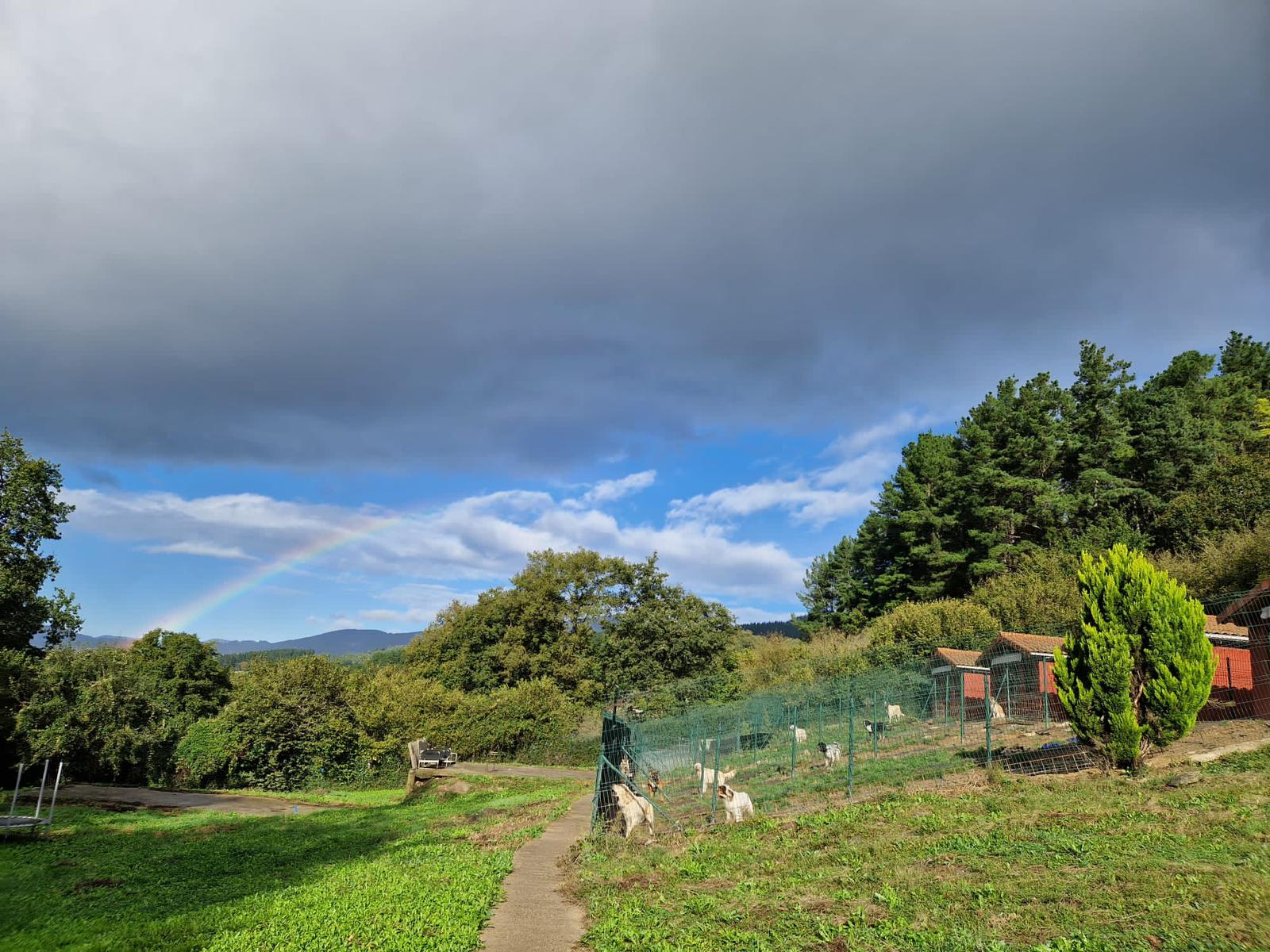 Copia de IMG-20231111-WA0022