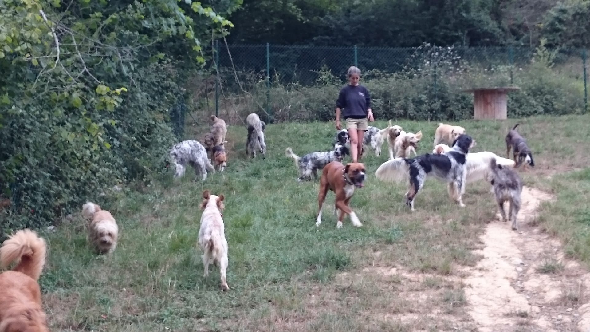 Copia de IMG-20231201-WA0015