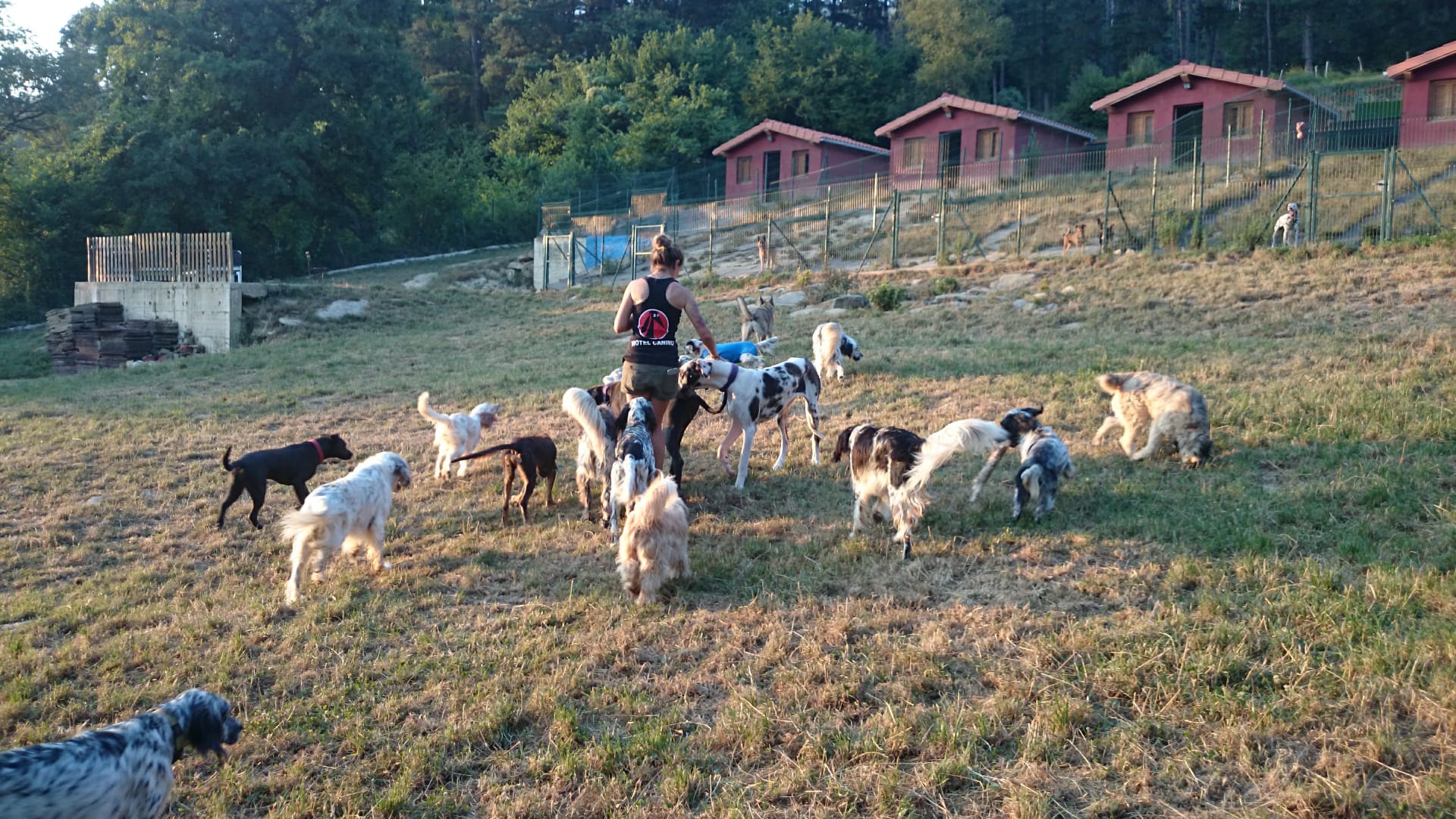 Copia de IMG-20231201-WA0017