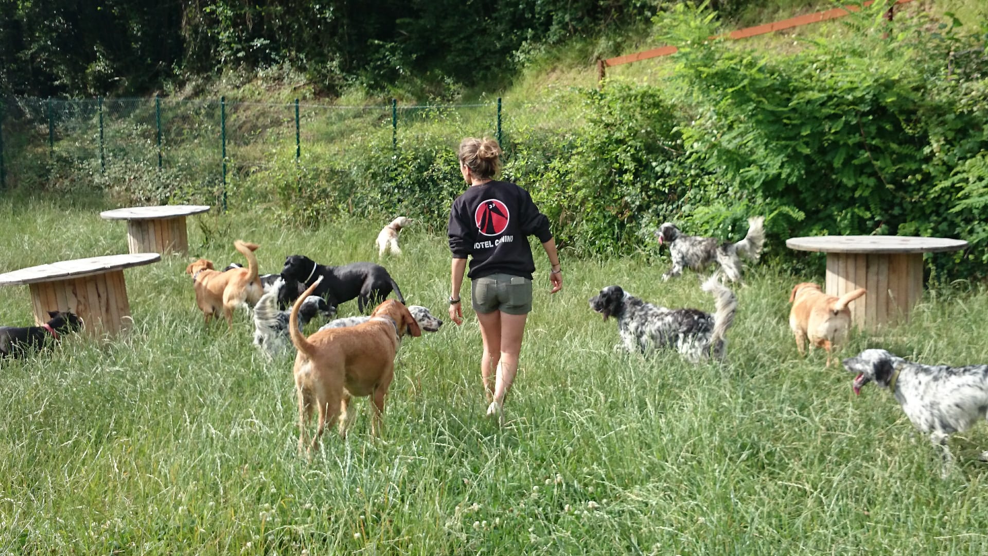 Copia de IMG-20231201-WA0018