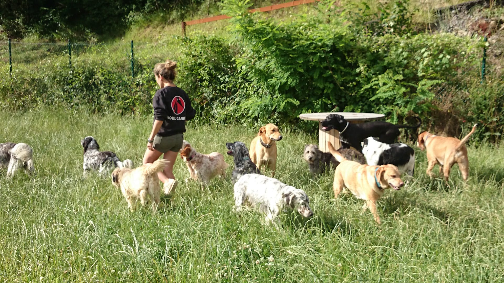 Copia de IMG-20231201-WA0019