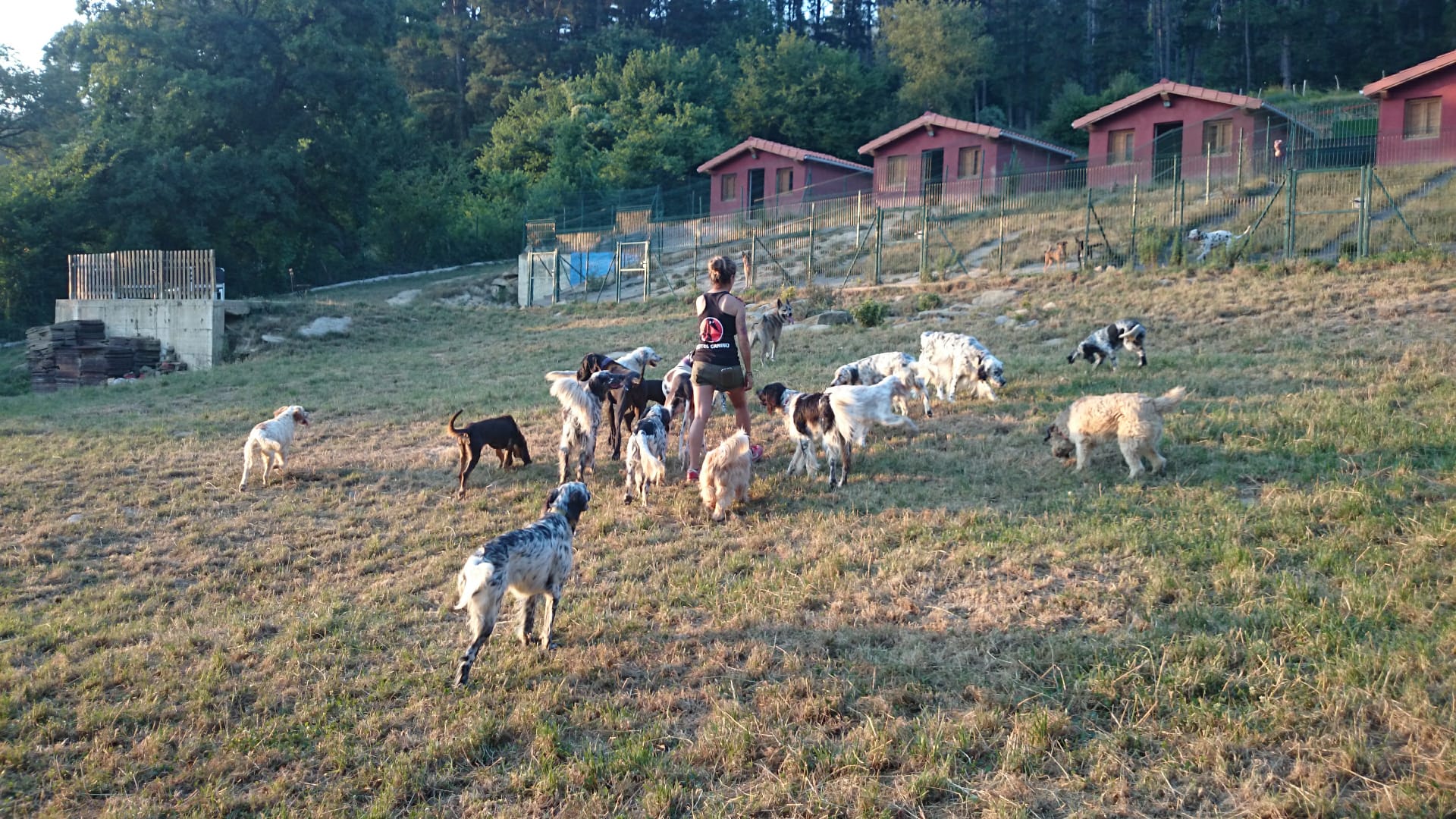 Copia de IMG-20231201-WA0020