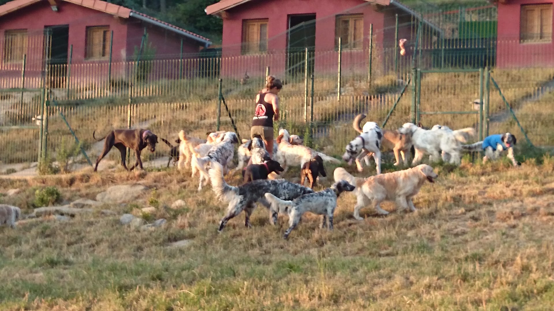 Copia de IMG-20231201-WA0021