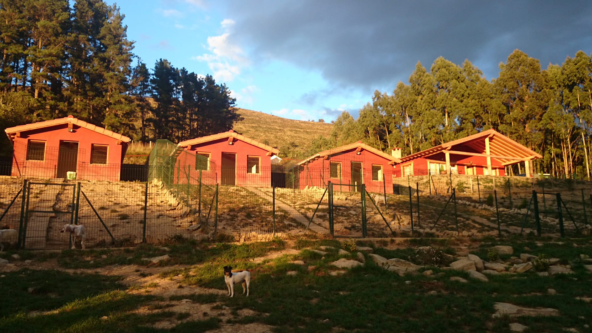 Copia de IMG-20231201-WA0022