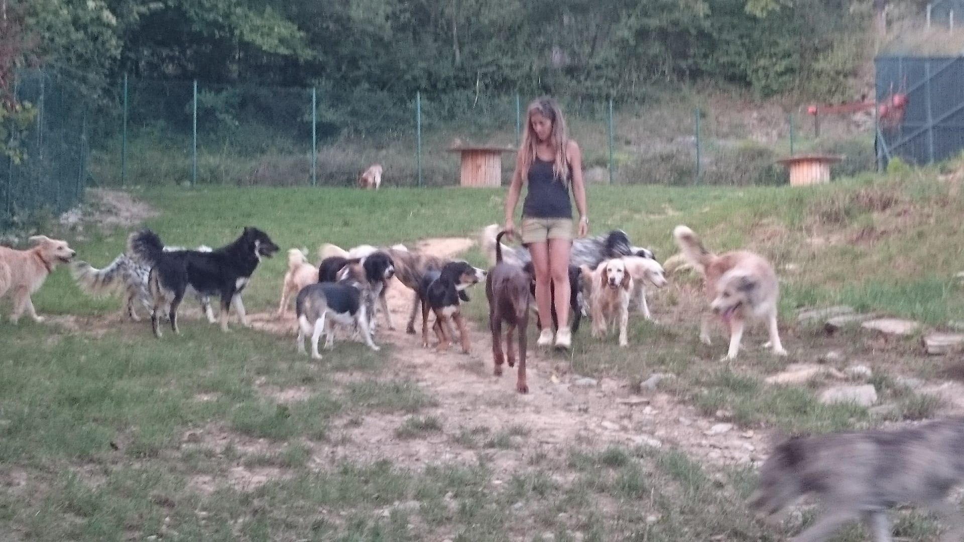 Copia de IMG-20231201-WA0023