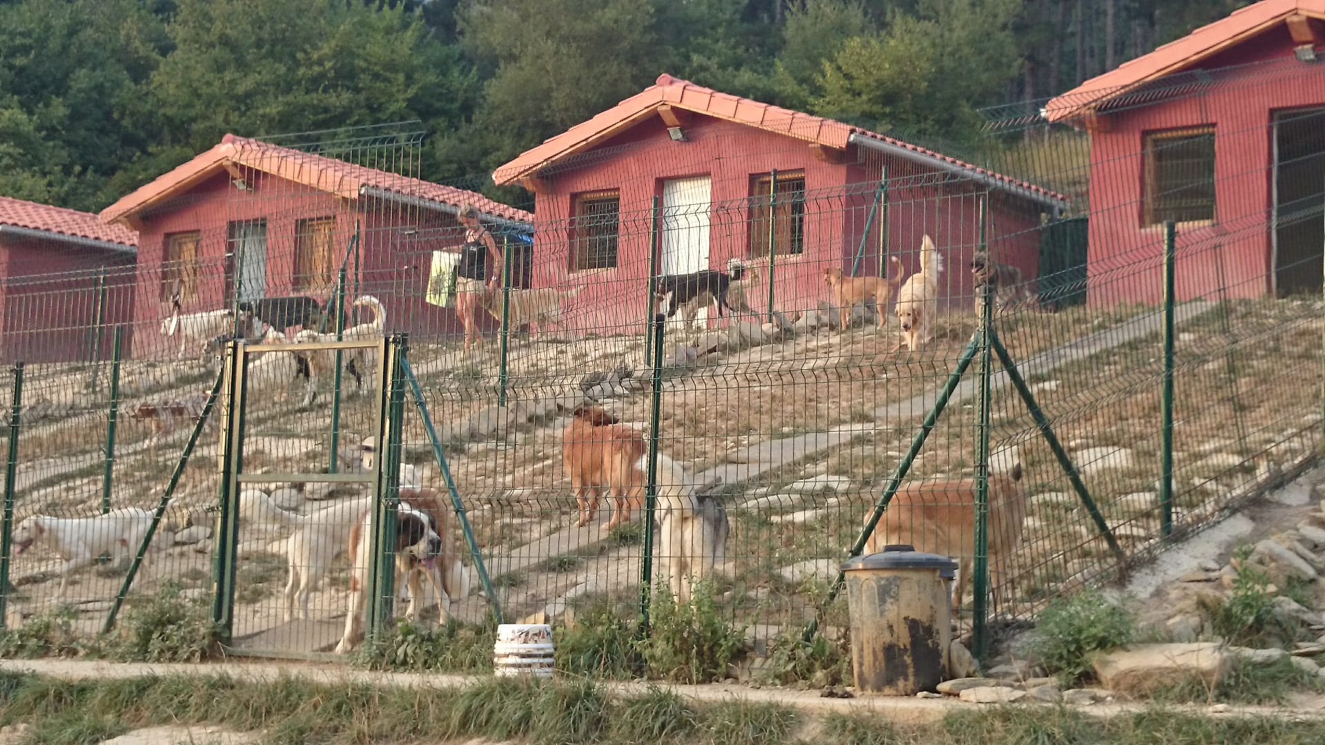 Copia de IMG-20231201-WA0024