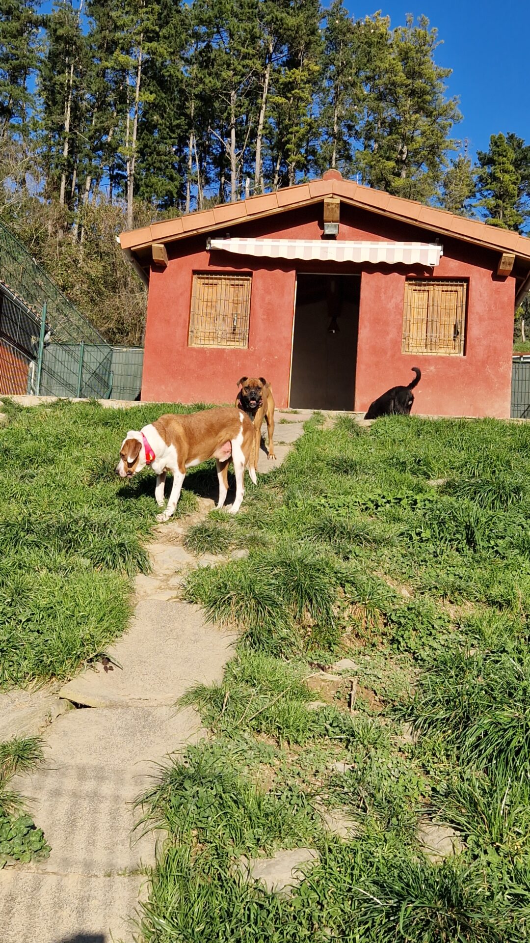 Copia de IMG-20240125-WA0031