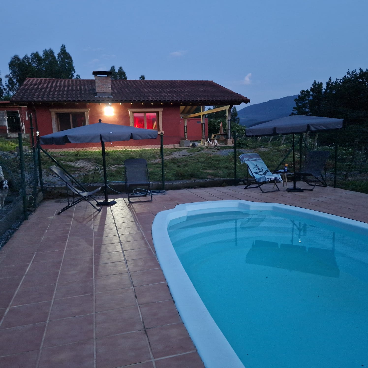 Copia de IMG-20250618-WA0041