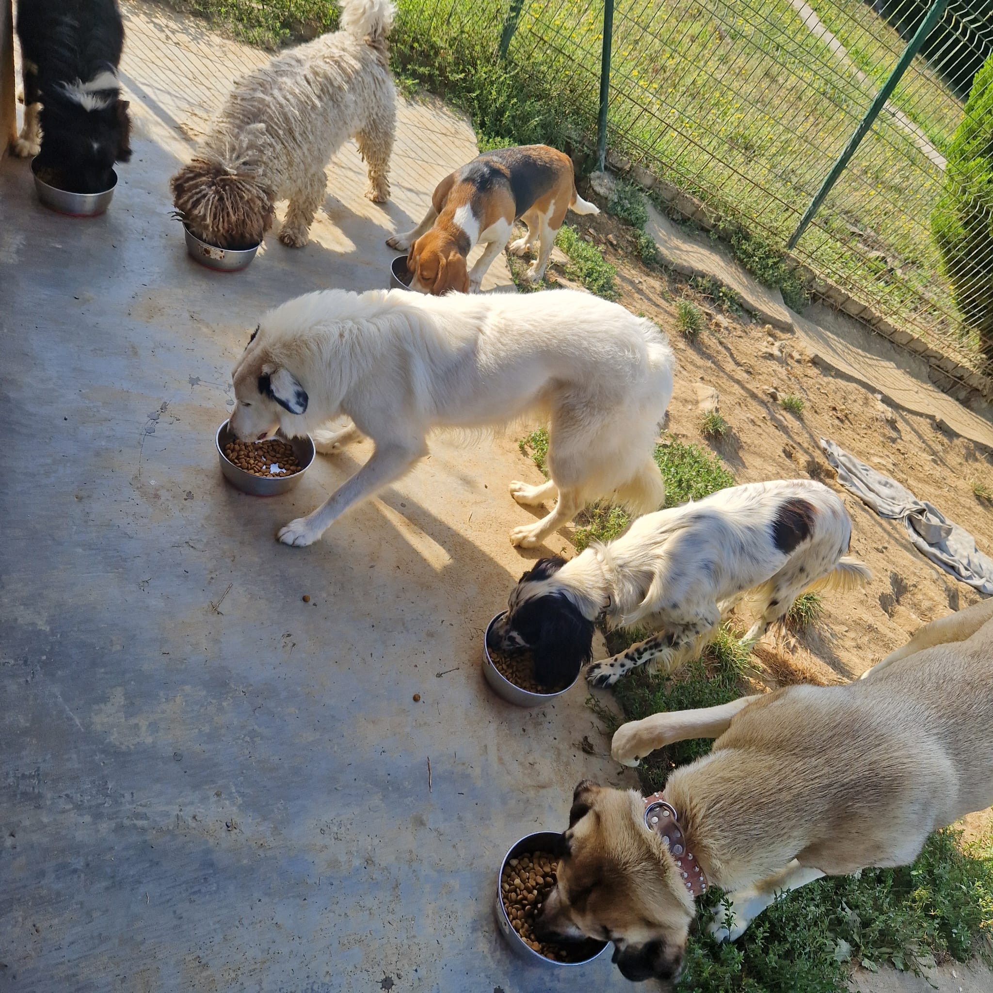 Copia de IMG-20250808-WA0029